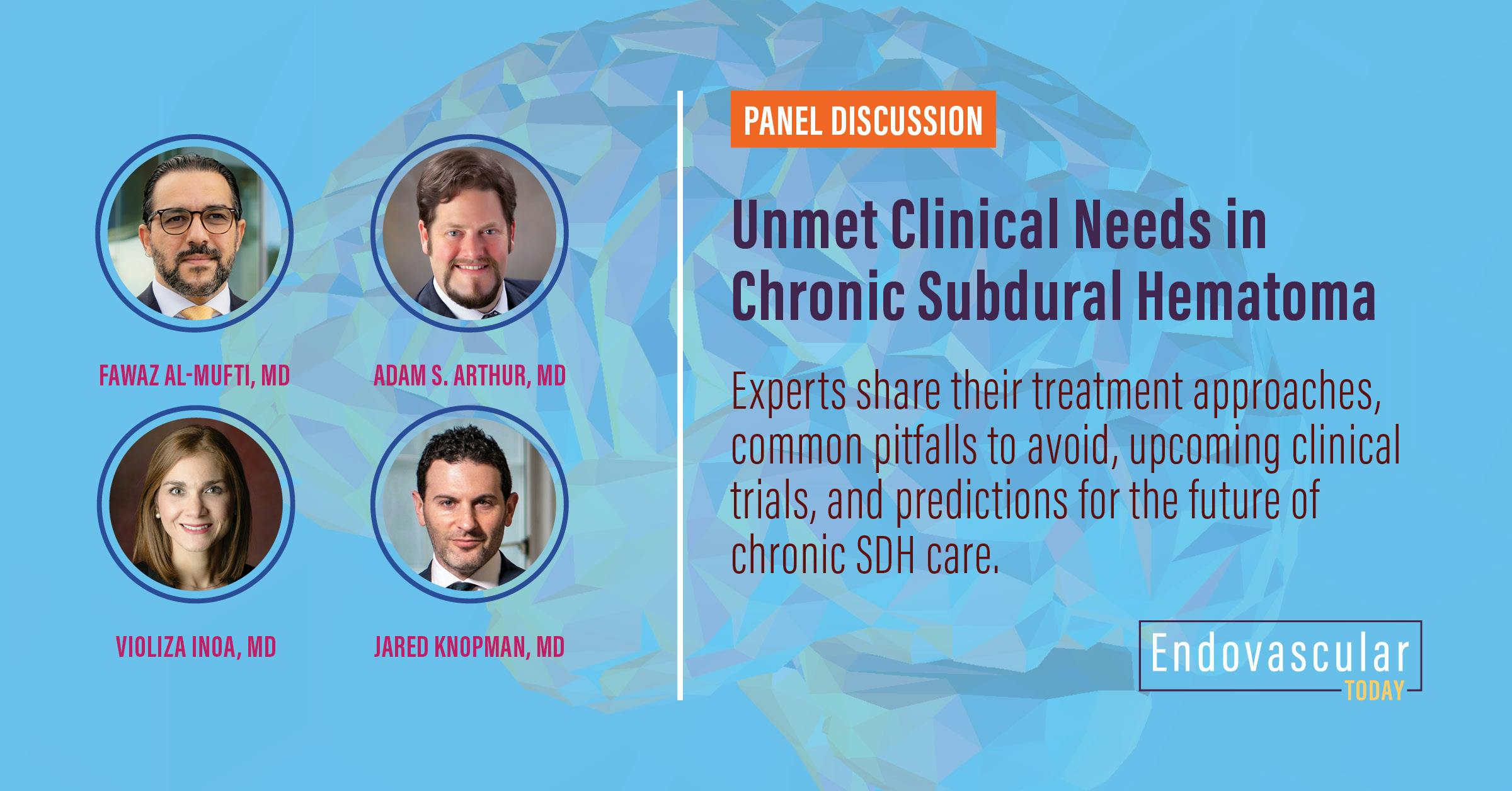 Panel Discussion Unmet Clinical Needs In Chronic Subdural Hematoma Endovascular Today 7838